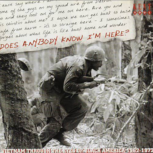 VARIOUS - DOES ANYBODY KNOW I'M HERE? VIETNAM THRO - CD