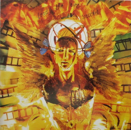 TOAD THE WET SPROCKET - FEAR - CD