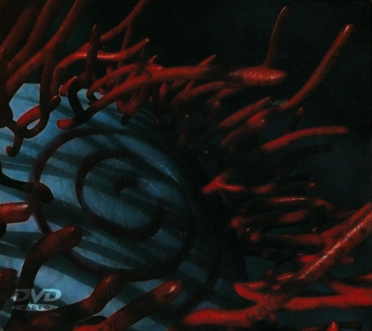 TOOL - SCHISM: DVD SINGLE - DVD