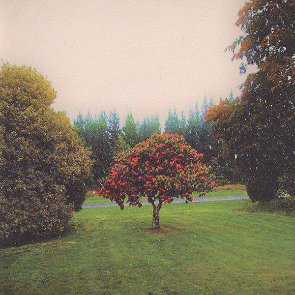 BATS - FOOTHILLS - CD