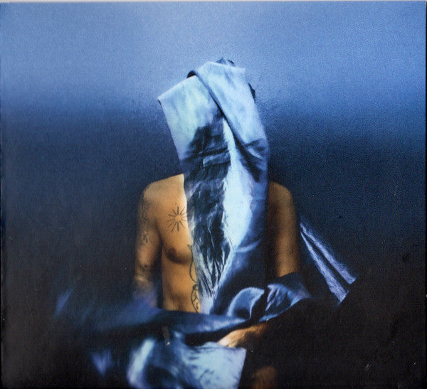 BANHART, DEVENDRA - FLYING WIG - CD