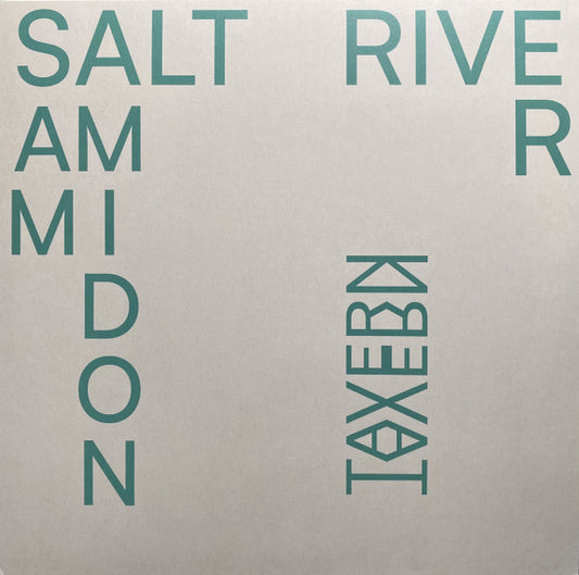 AMIDON, SAM - SALT RIVER - LP