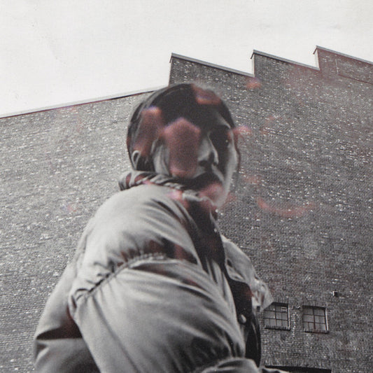 HARDING, ALDOUS - WARM CHRIS - CD