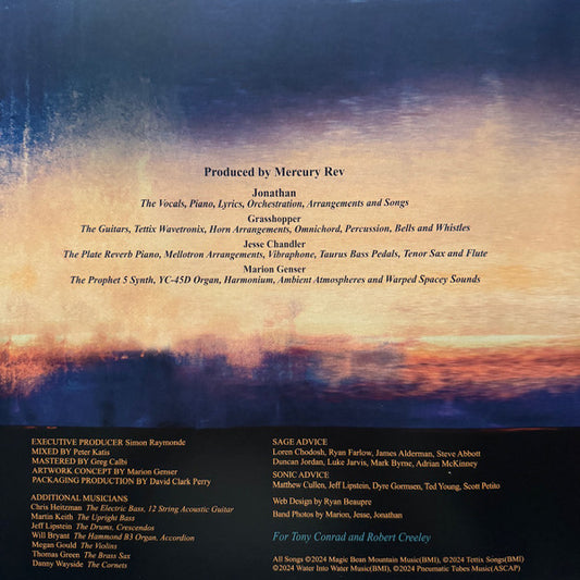 MERCURY REV - BORN HORSES - LP