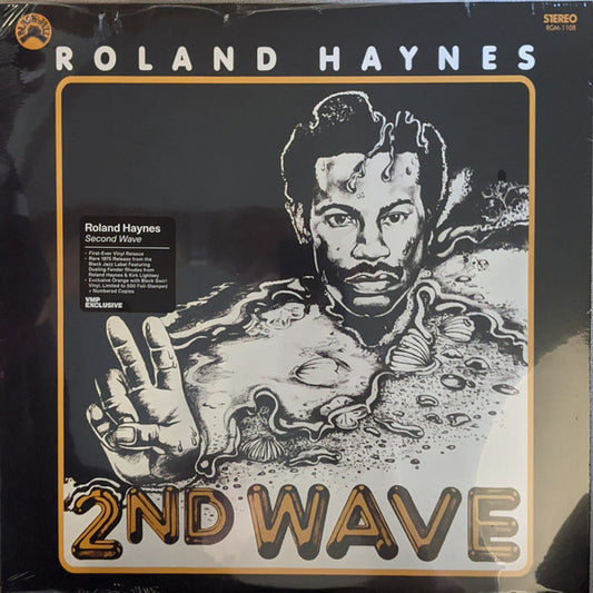 HAYNES, ROLAND - SECOND WAVE: BLUE/BLACK SWIRL - LP