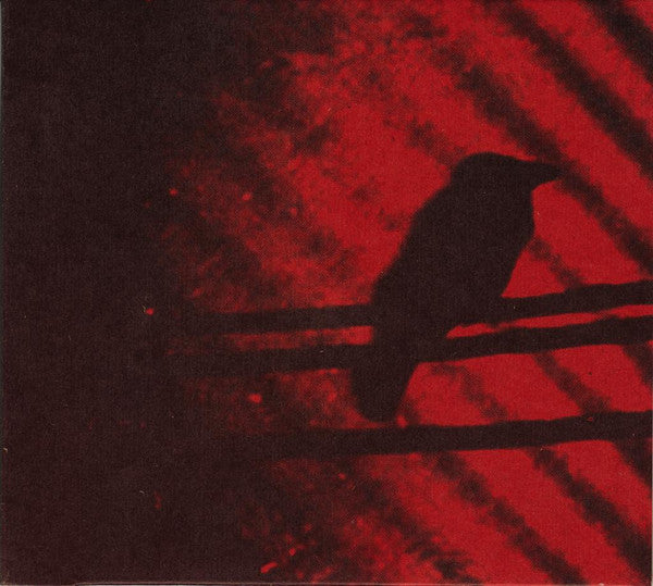 SILVER MT ZION - BORN INTO TROUBLE AS THE SPARKS FLY ... - CD