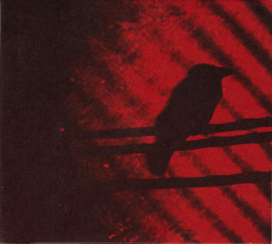 SILVER MT ZION - BORN INTO TROUBLE AS THE SPARKS FLY ... - CD