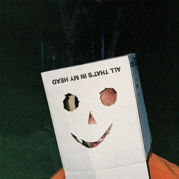 VANNS - ALL THAT'S IN MY HEAD : SWIRL VINYL - LP