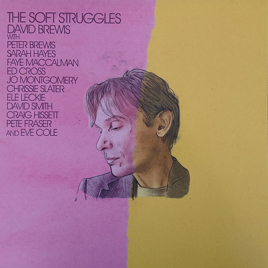 BREWIS, DAVID - SOFT STRUGGLES - LP
