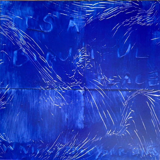 WATER FROM YOUR EYES - IT'S A BEAUTIFUL PLACE - LP