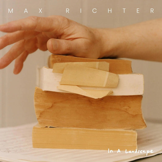 RICHTER, MAX - IN A LANDSCAPE (2LP) - LP