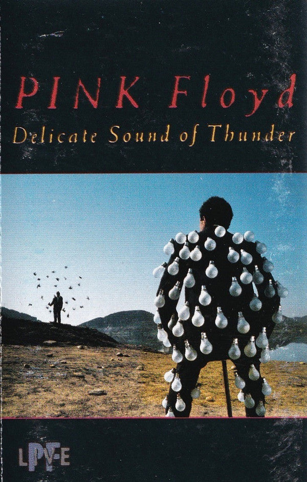 PINK FLOYD - DELICATE SOUND OF THUNDER : 2 X CASSETTE - CS