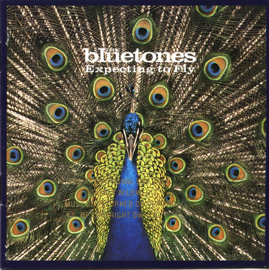 BLUETONES - EXPECTING TO FLY - CD
