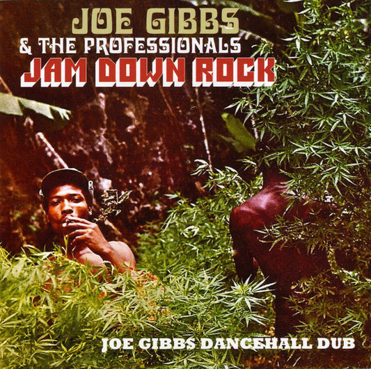 GIBBS, JOE & THE PROFESSIONALS - JAM DOWN ROCK - JOE GIBBS DANCEHALL DUB - CD