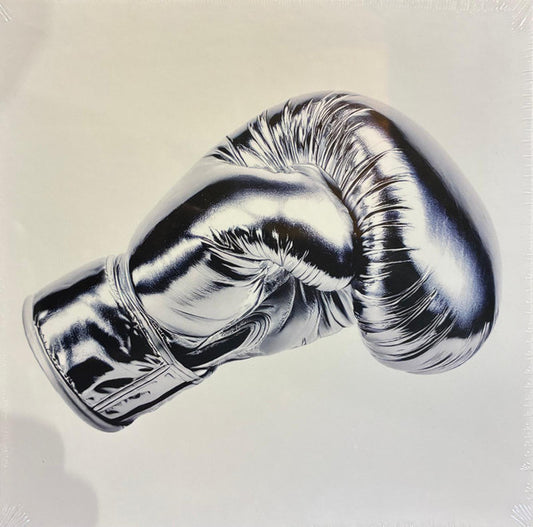 ADAMS, BRYAN - ROLL WITH THE PUNCHES : DELUXE EDITION - CD