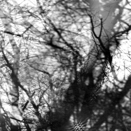 GROUPER - WAY THEIR CREPT : 2025 REISSUE - CD