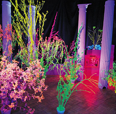 HUSKER DU - WAREHOUSE : SONGS & STORIES (2024) - CD