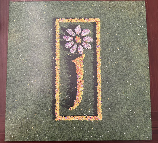 JAMES - NOTHING BUT LOVE : DEFINITIVE (2LP SET) - LP