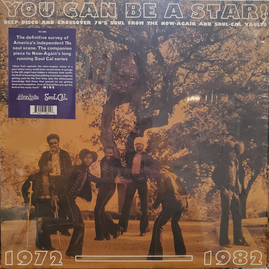 VARIOUS - YOU CAN BE A STAR!: DEEP DISCO & CROSSOV - LP