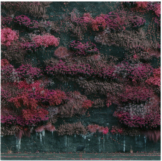 SLEEP TOKEN - EVEN IN ARCADIA - CD