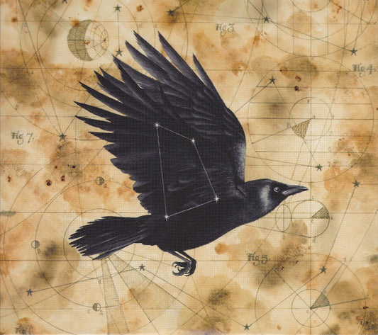 BIG BIG TRAIN - GRIMSPOUND - CD