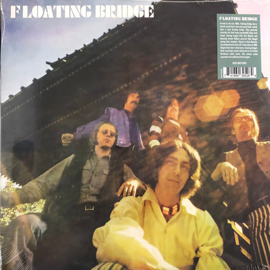 FLOATING BRIDGE - FLOATING BRIDGE: SLATE GRAY VINYL - LP