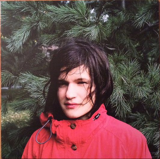 LENKER, ADRIANNE - HOURS WERE THE BIRDS : WITH DOWNLOAD - LP