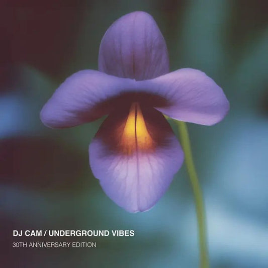 DJ CAM - UNDERGROUND VIBES : 180-GRAM AUDIOPHILE - LP