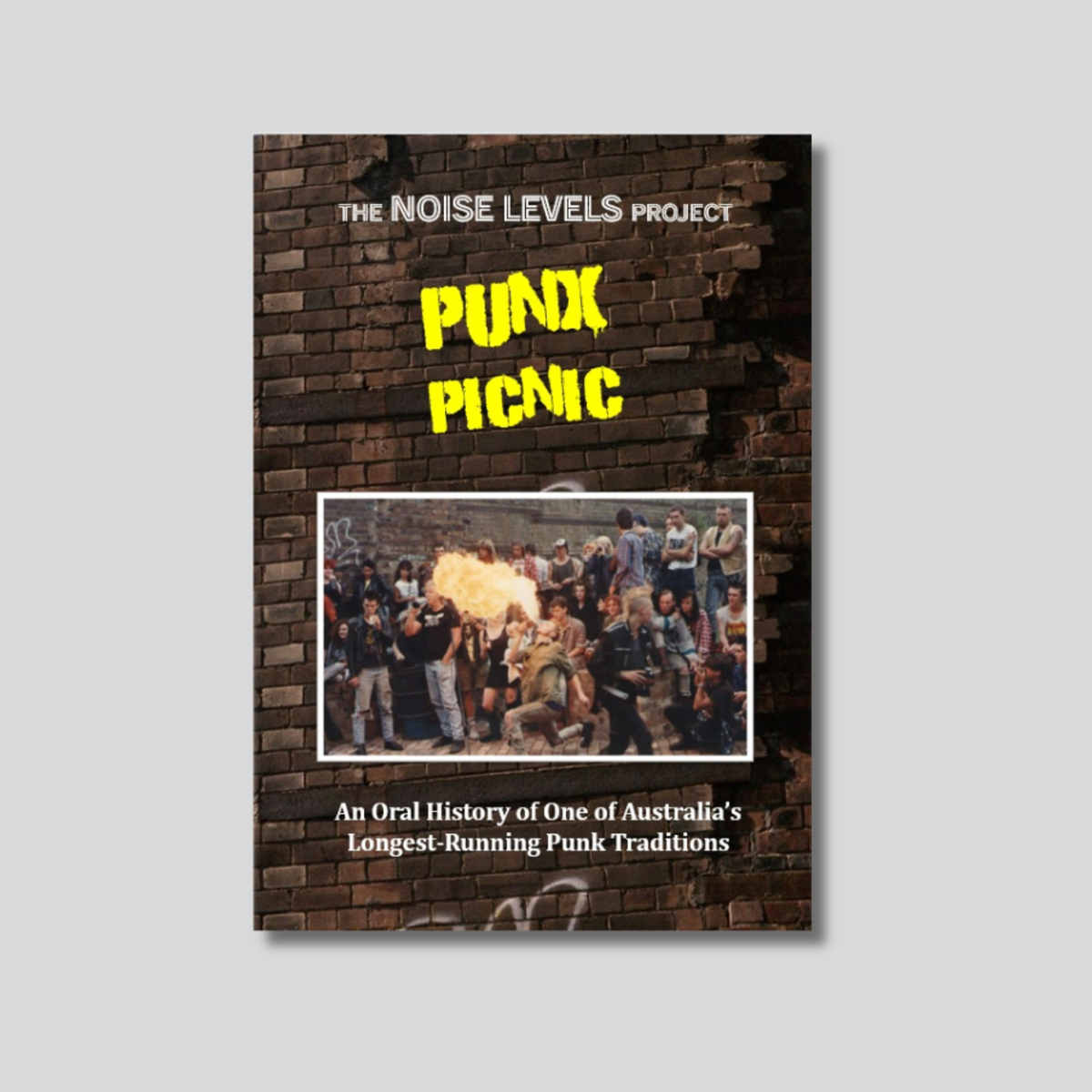 PUNX PICNIC - NOISE LEVELS PROJECT - MAG