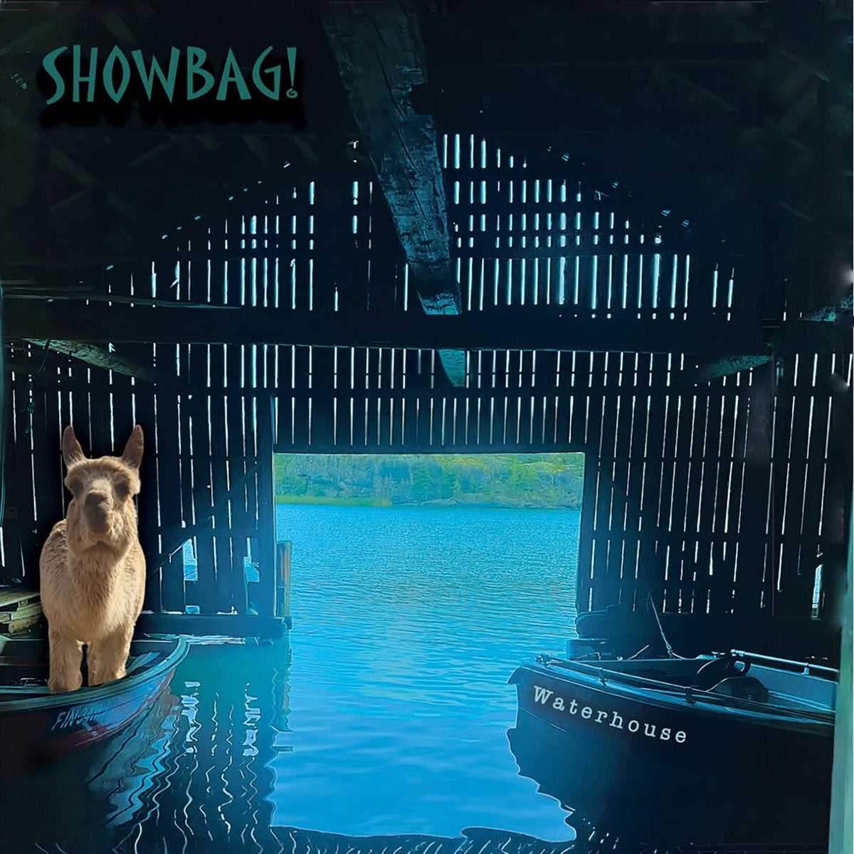 SHOWBAG! - WATERHOUSE - LP