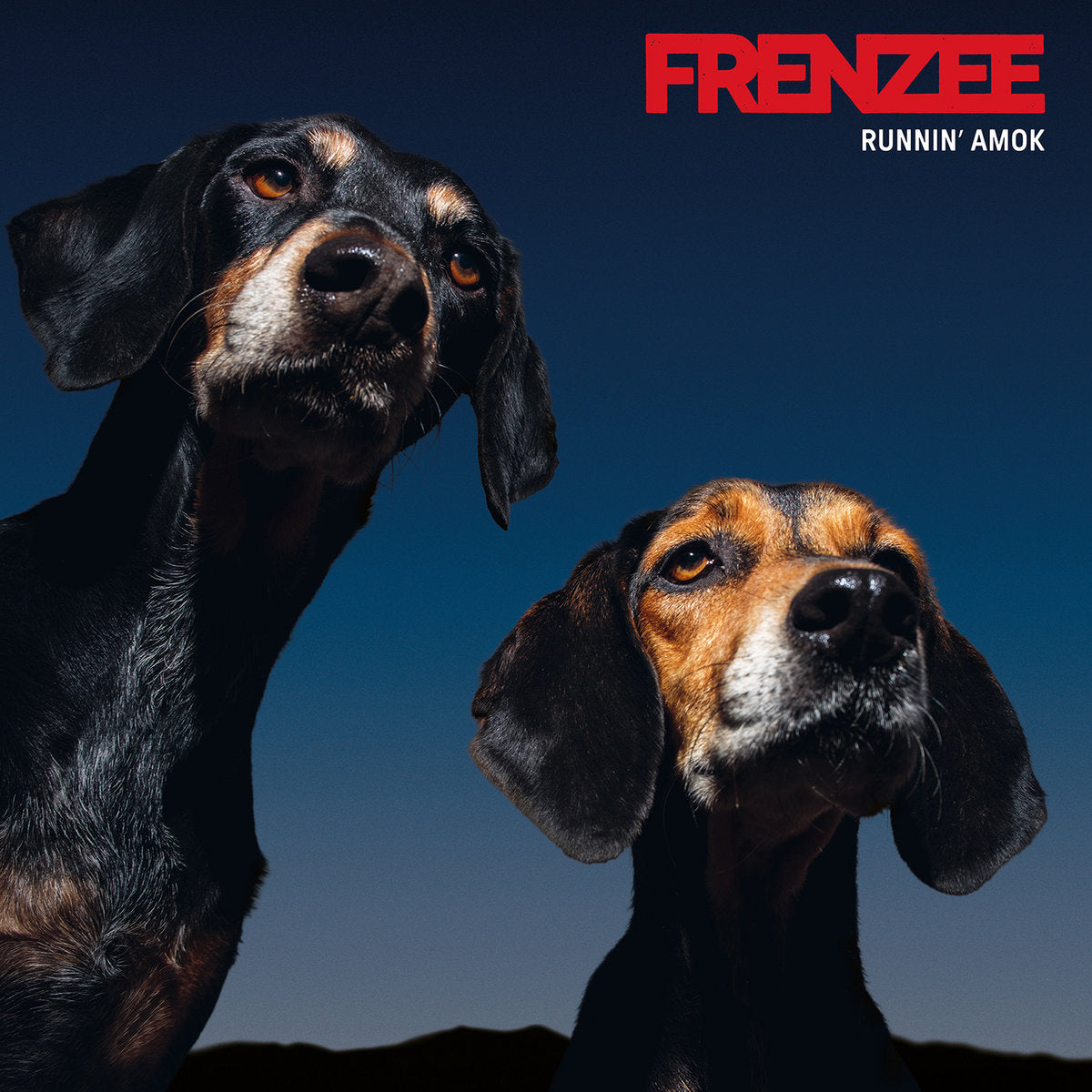 FRENZEE - RUNNIN' AMOK - CD