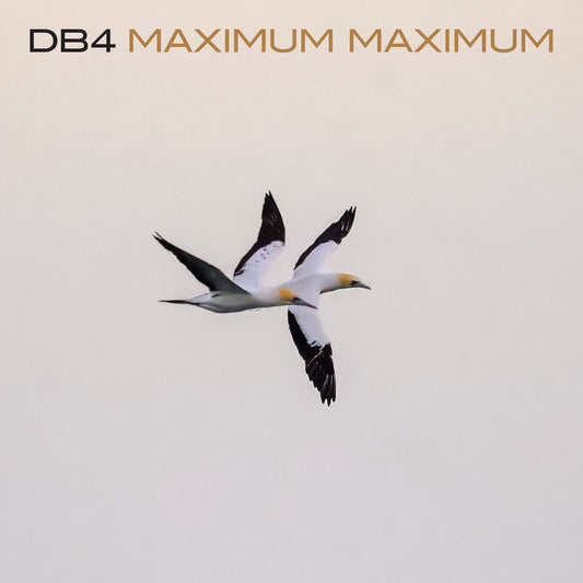 DB4 - MAXIMUM MAXIMUM - LP