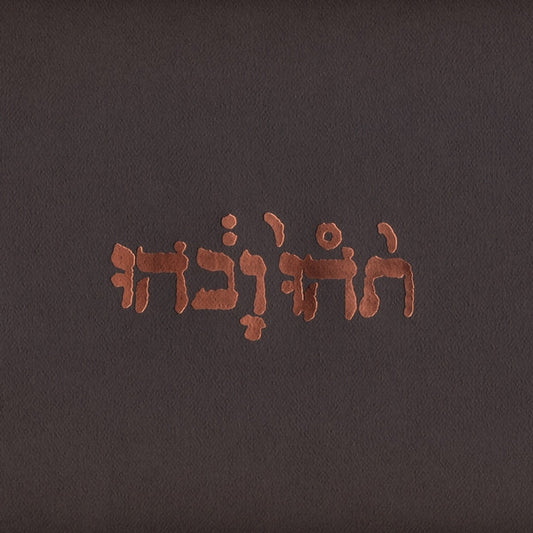 GODSPEED YOU BLACK EMPEROR! - SLOW RIOT FOR NEW ZERO - LP