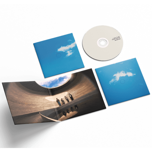 MYSTERY JETS - HOLE TO SEE THE SKY THROUGH - CD
