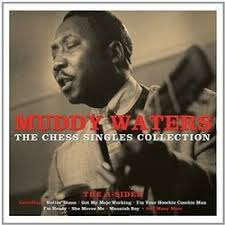 WATERS, MUDDY - CHESS SINGLES: 2LP WHITE VINYL - LP