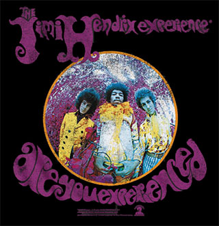 HENDRIX, JIMI - ARE YOU EXPERIENCED: MEDIUM - TSH
