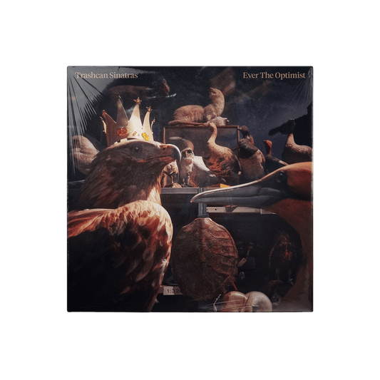 TRASHCAN SINATRAS - EVER THE OPTIMIST - CD