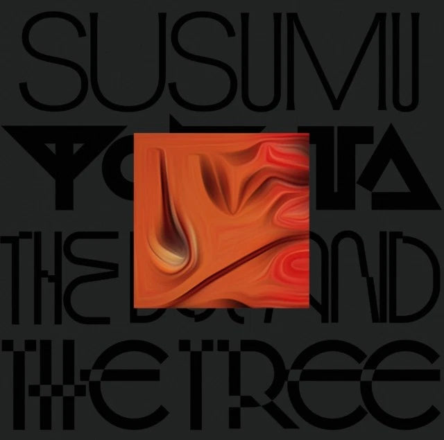 YOKOTA, SUSUMU - BOY & THE TREE : SKINTONE (ORANGE 2LP) - LP