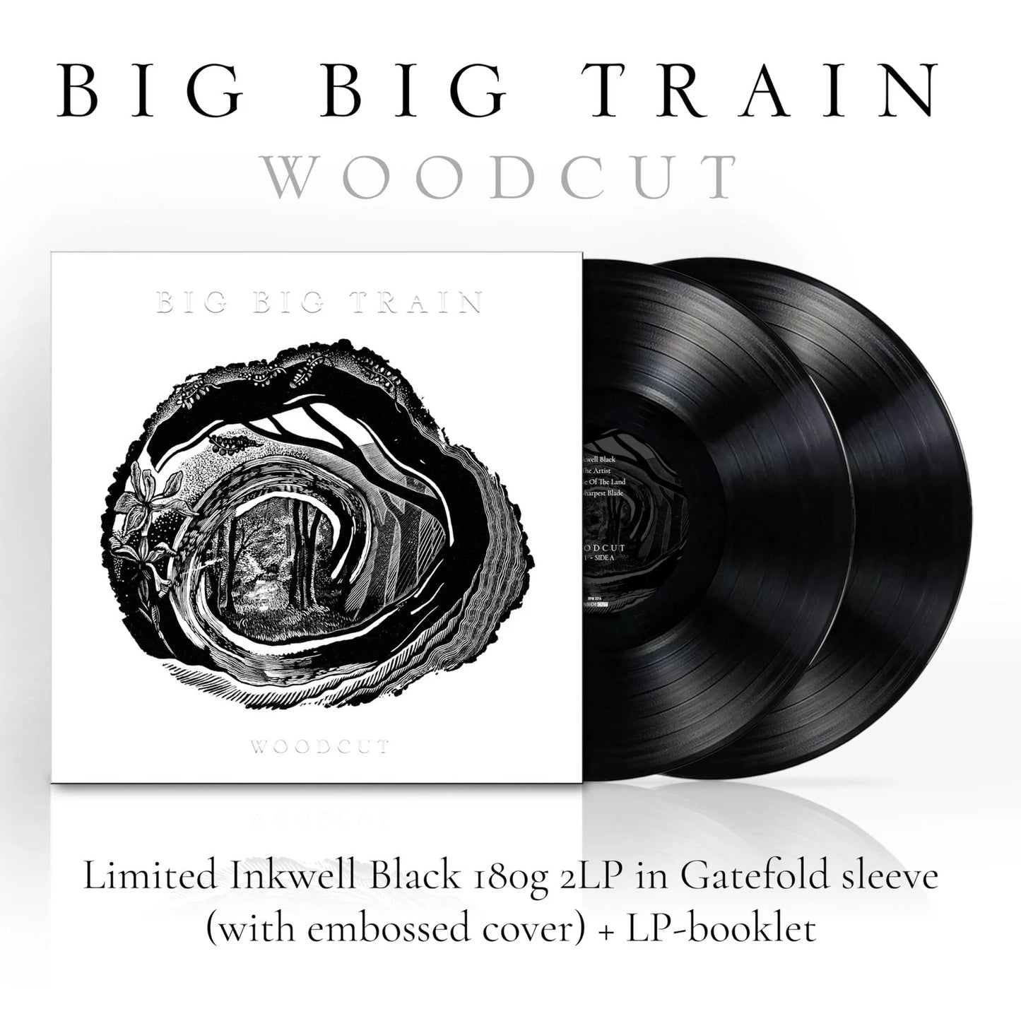 BIG BIG TRAIN - WOODCUT : 2LP INKWELL BLACK VINYL - LP