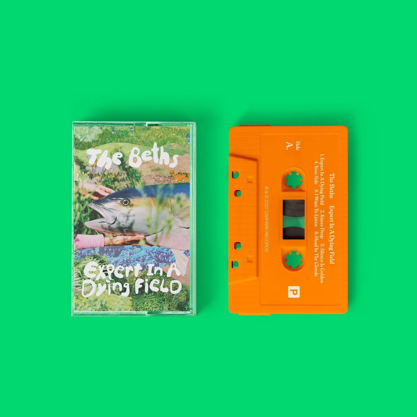 BETHS - EXPERT IN A DYING FIELD : CASSETTE - CS