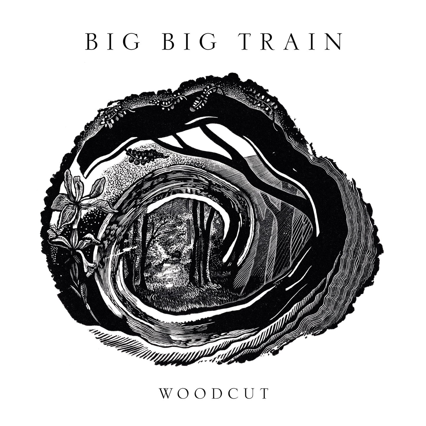 BIG BIG TRAIN - WOODCUT - CD