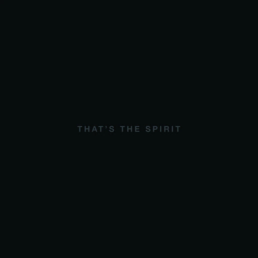 BRING ME THE HORIZON - THAT'S THE SPIRIT : LP + CD COPY - LP