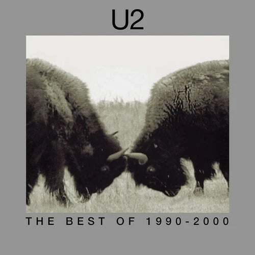 U2 - BEST OF : 1990 - 2000 (2LP SET) - LP