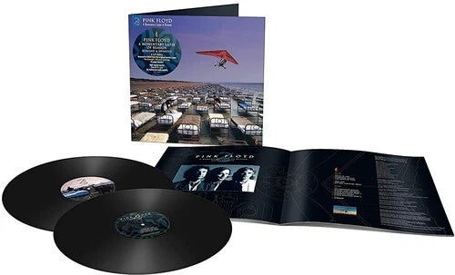 PINK FLOYD - MOMENTARY LAPSE OF REASON: 2LP 45RPM RMX - LP